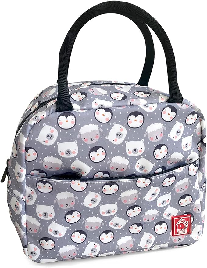 Waterproof Insulated Reusable Lunch Bag Food Drinks Container with Front Padded Pocket Double Zippers For Kids Men Women Work School Picnic